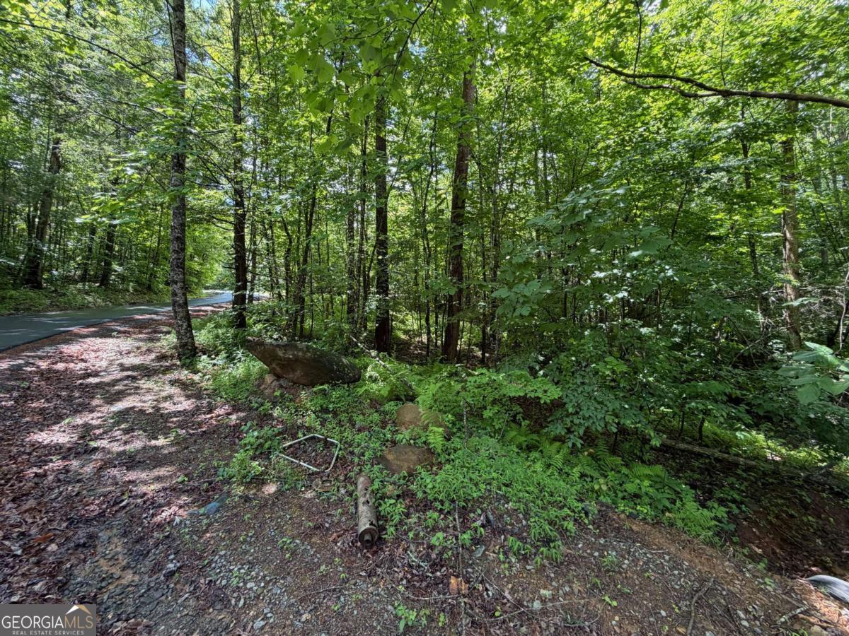 2.75ac Quail Ridge Road Property Photo 1