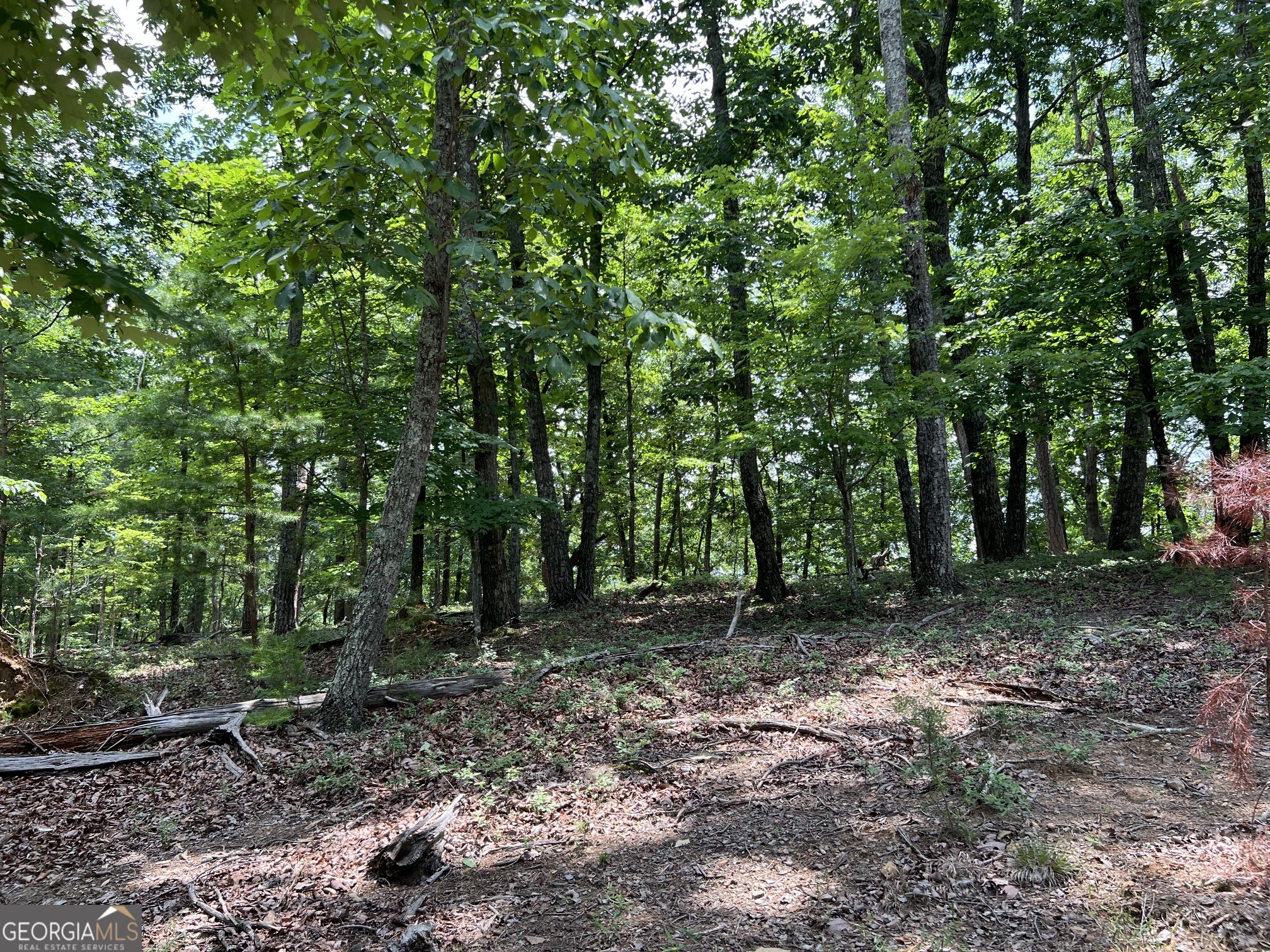 0 Planters Pointe Drive Property Photo 1