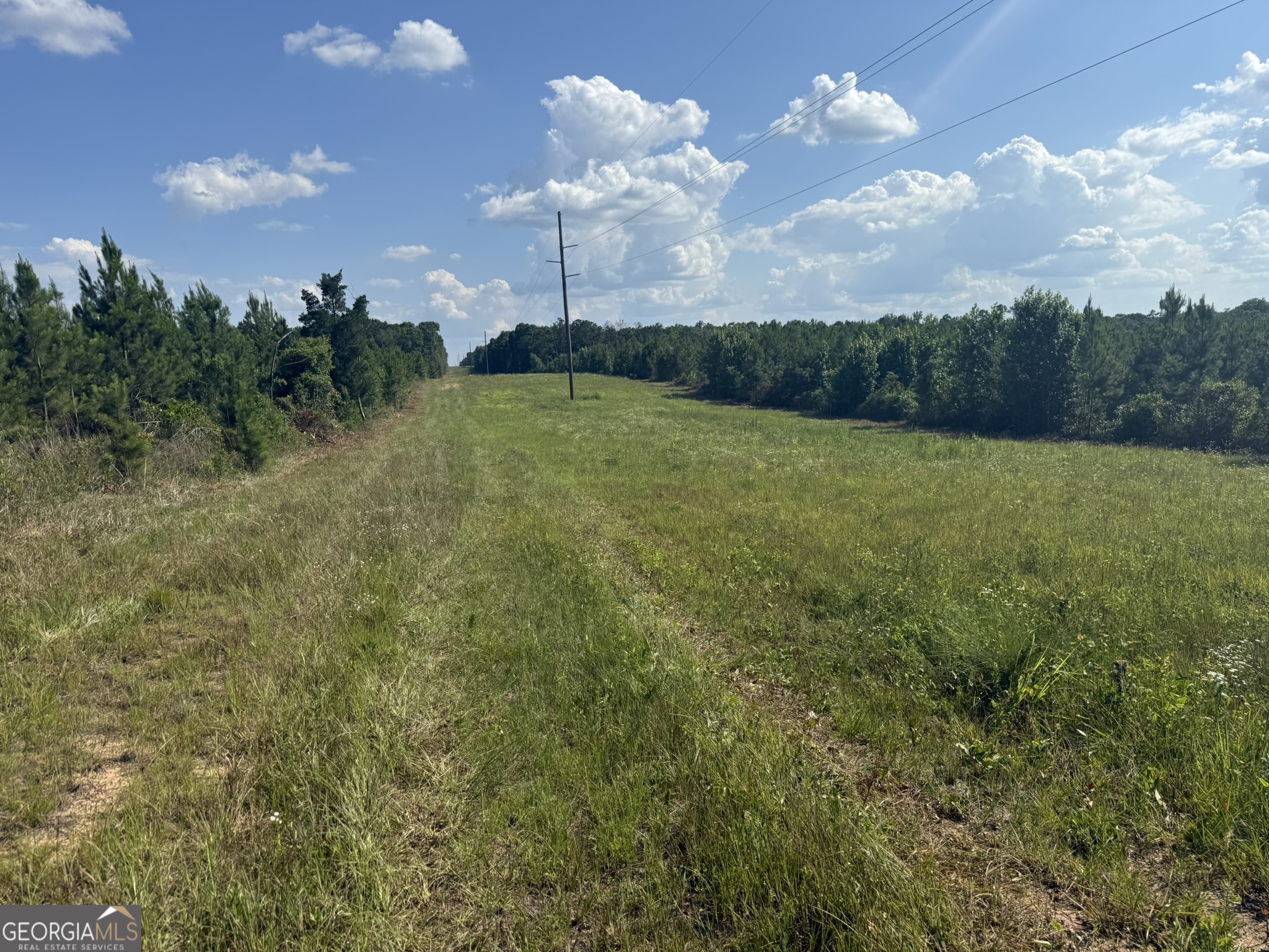009 George Milling Road Property Photo 1