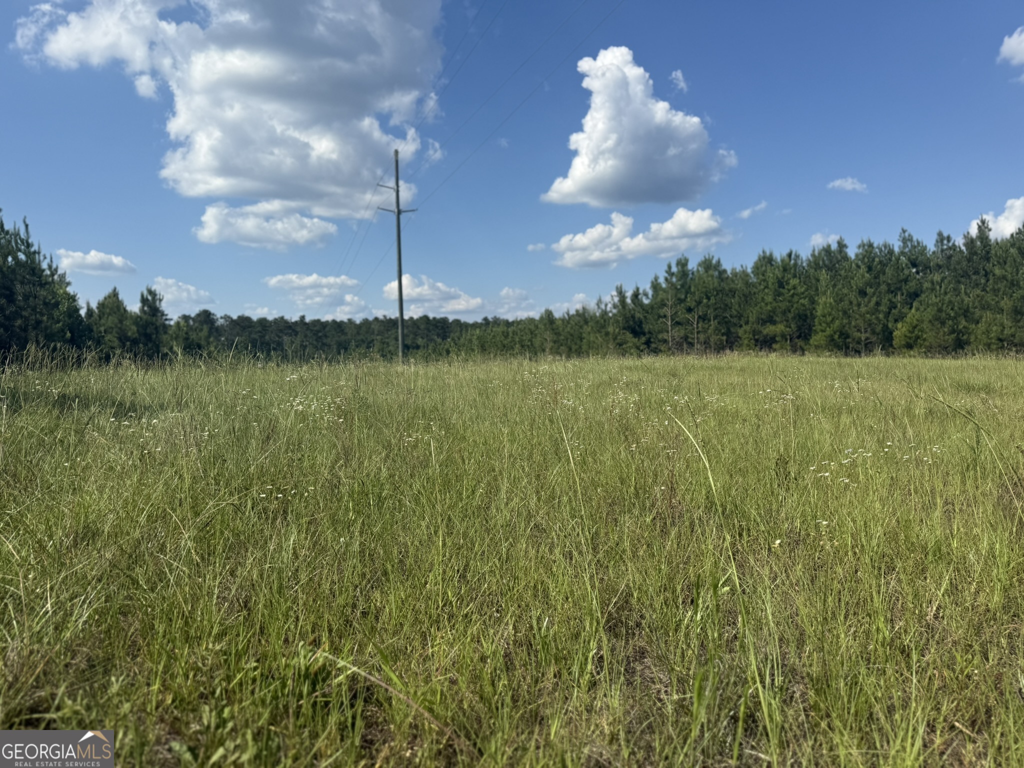 009 George Milling Road Property Photo 4