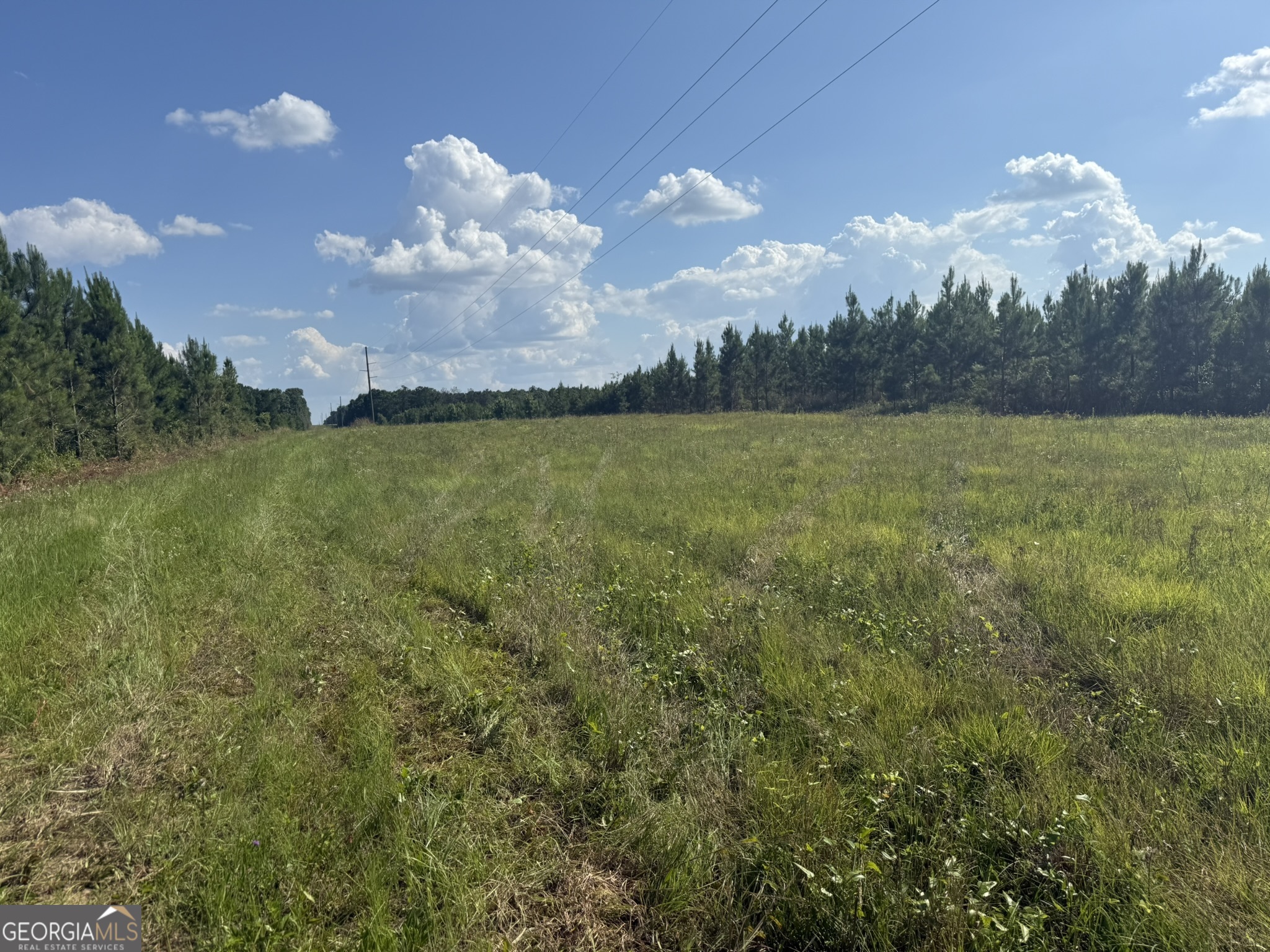 009 George Milling Road Property Photo 5
