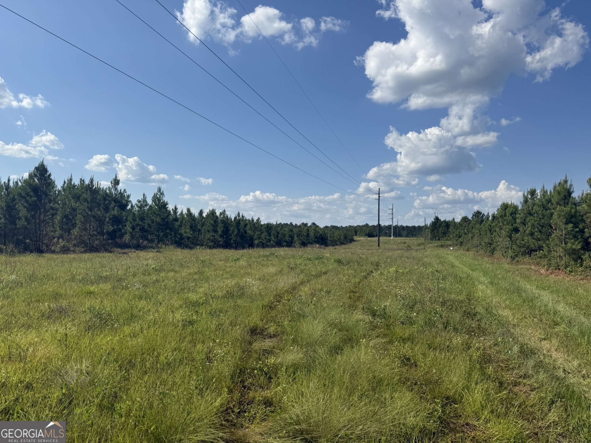 009 George Milling Road Property Photo 7