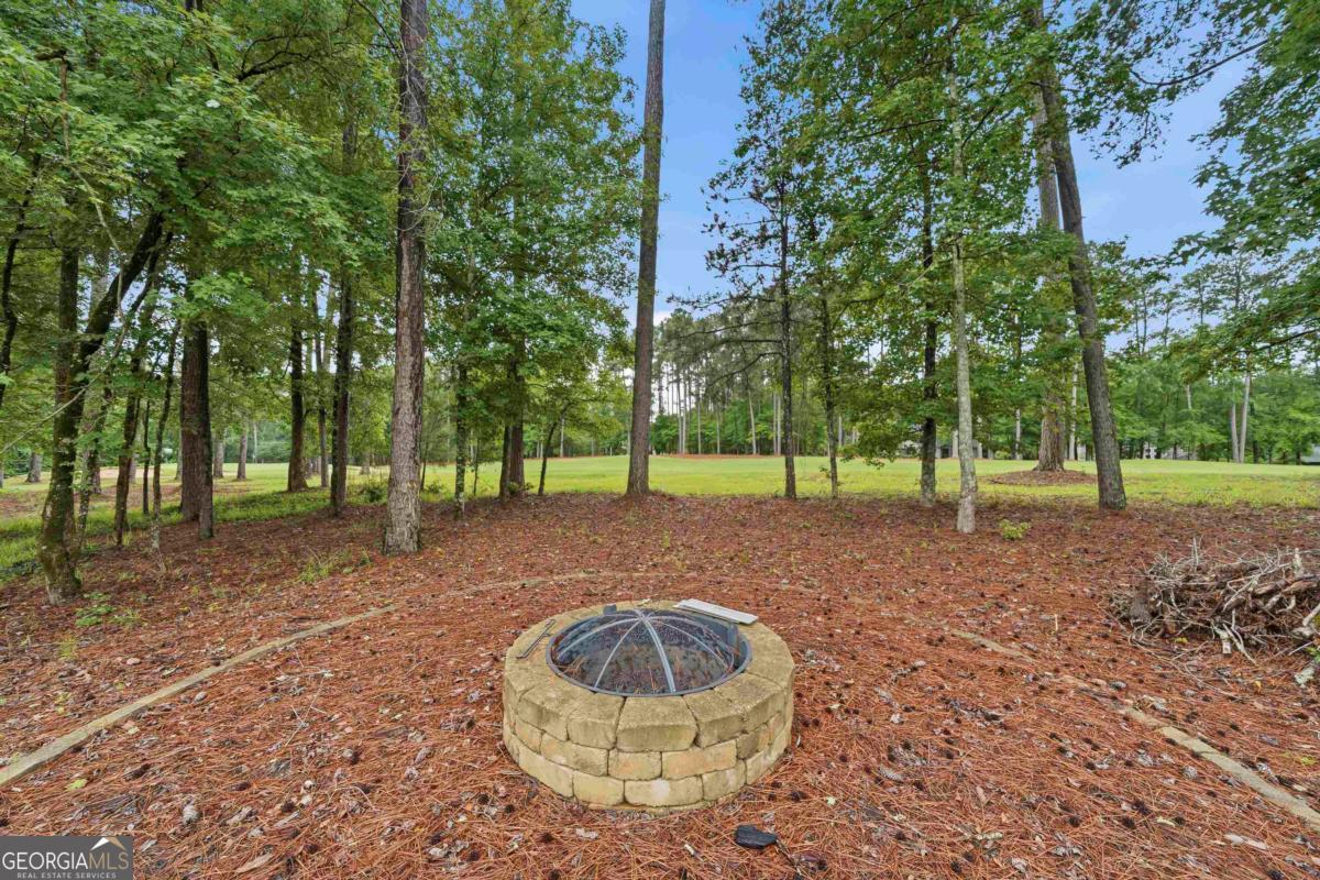 1781 Osprey Poynte Property Photo 47