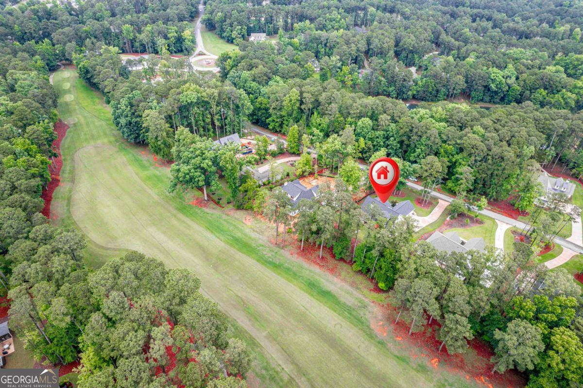 1781 Osprey Poynte Property Photo 51