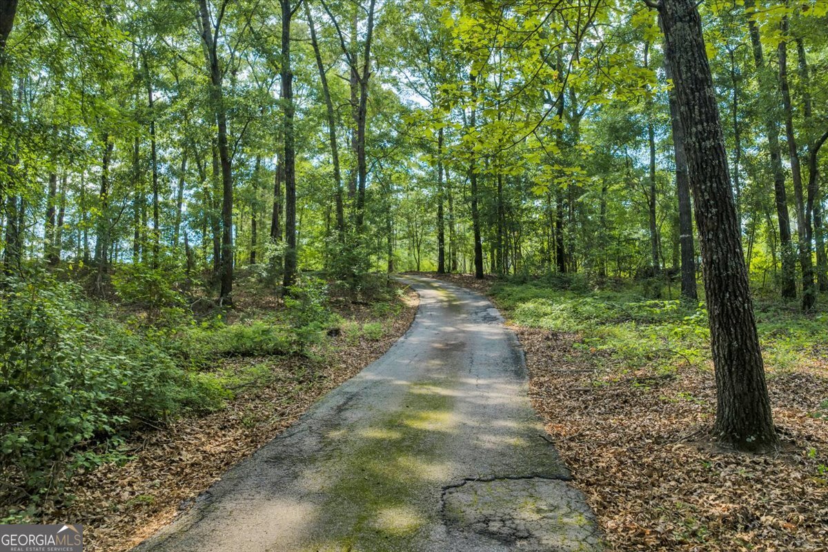 3826 Boy Scout Road Property Photo 47