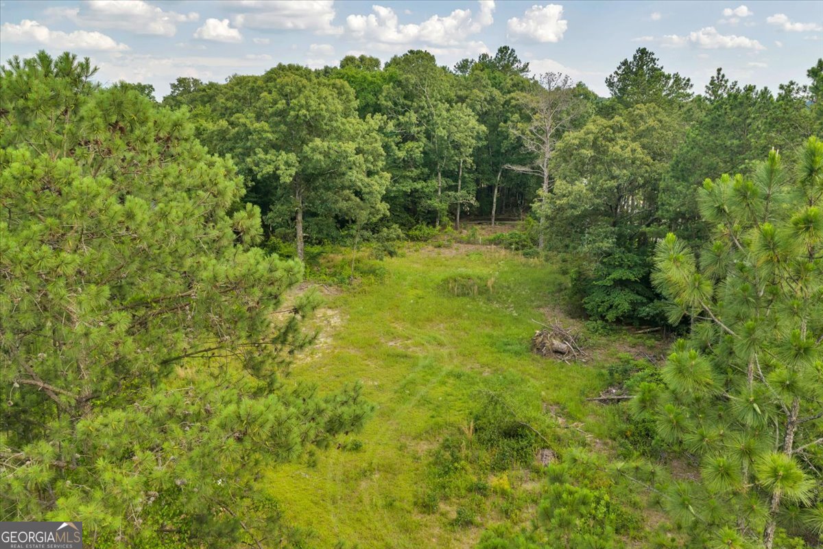 3826 Boy Scout Road Property Photo 50