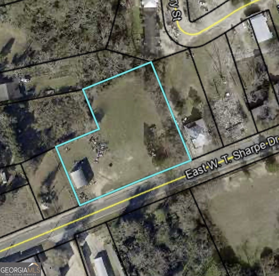 119 W T Sharpe Drive Property Photo 1