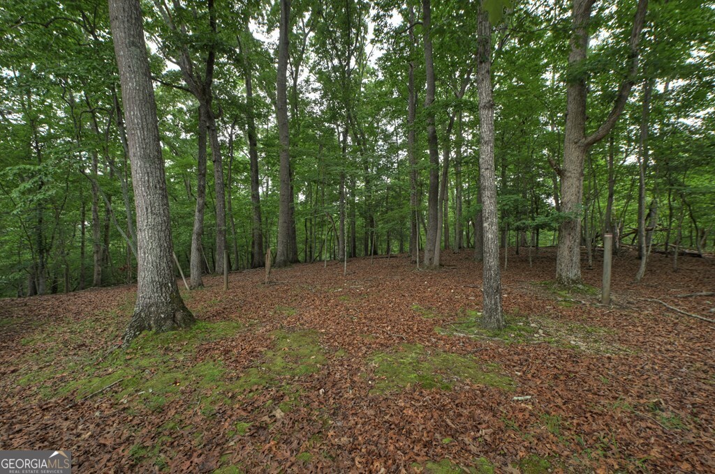1076 Riverview Drive # 5654 Property Photo 2