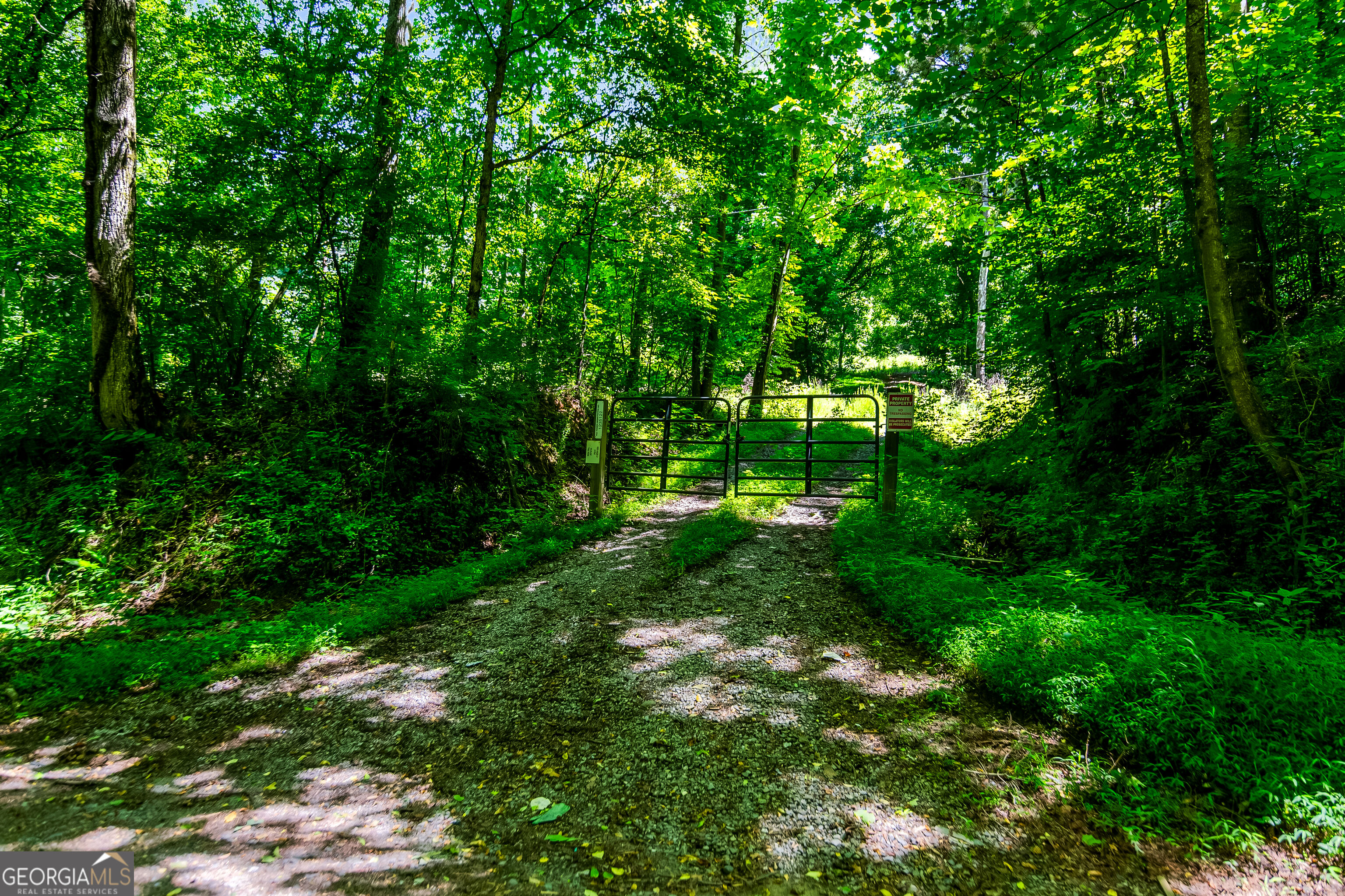 773 Fairview Road Property Photo 2