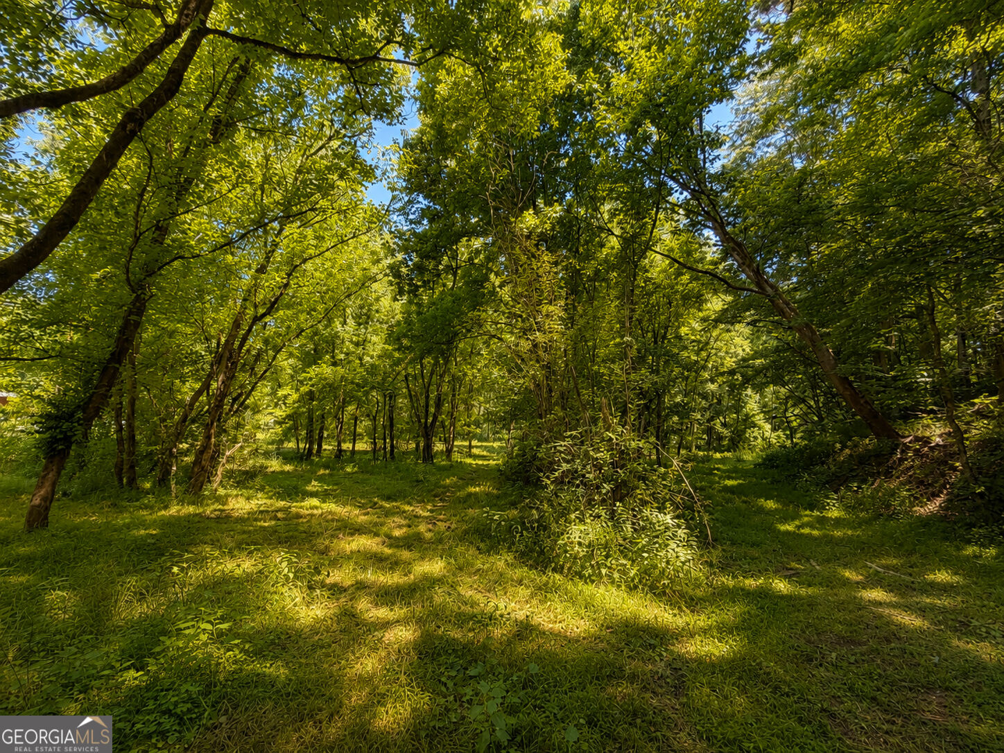 773 Fairview Road Property Photo 5