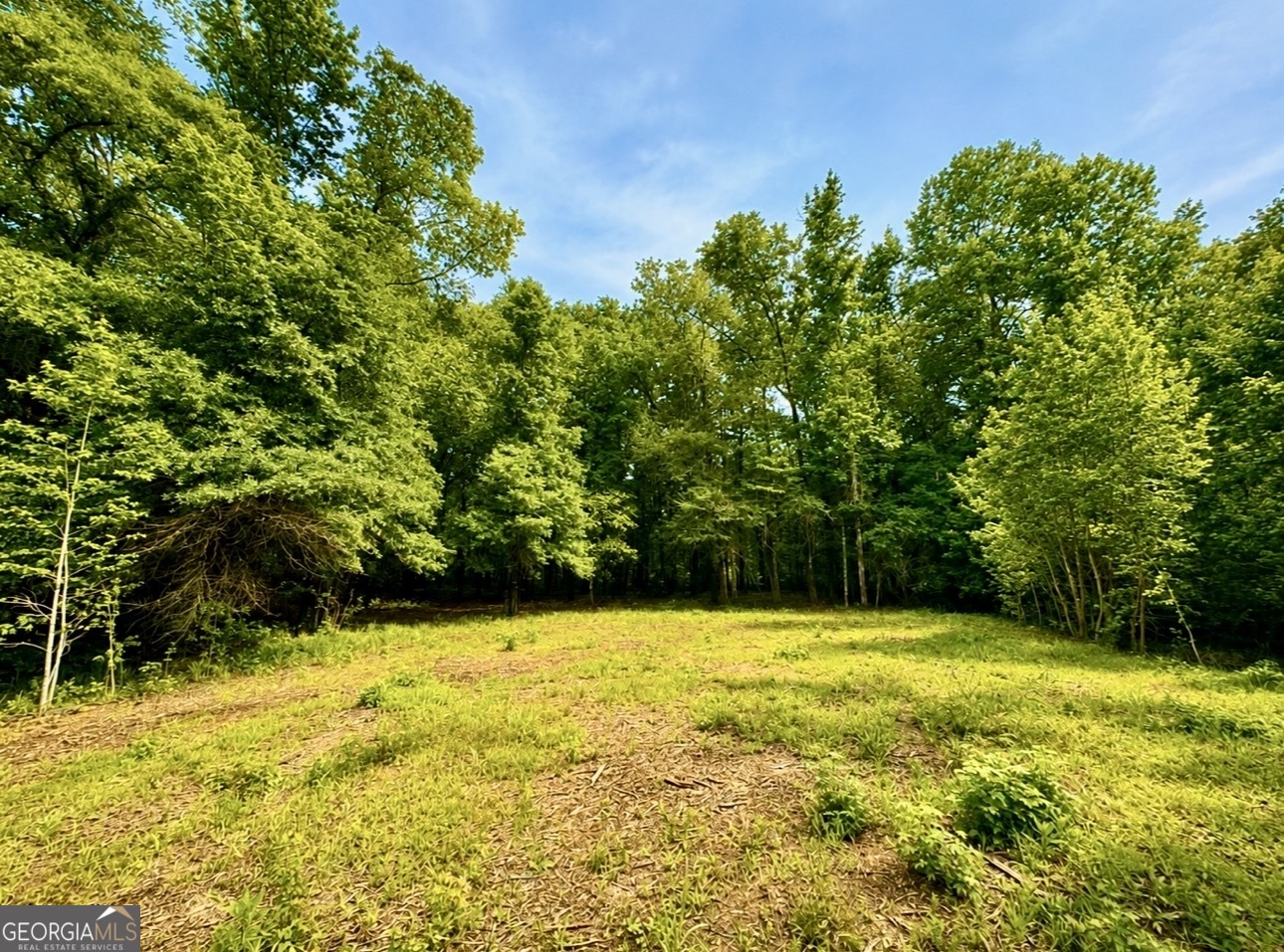 0 Rocky Creek Road Property Photo 2