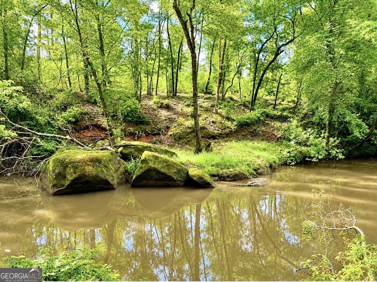 0 Rocky Creek Road Property Photo 3