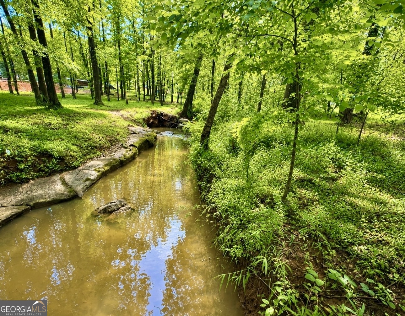 0 Rocky Creek Road Property Photo 8