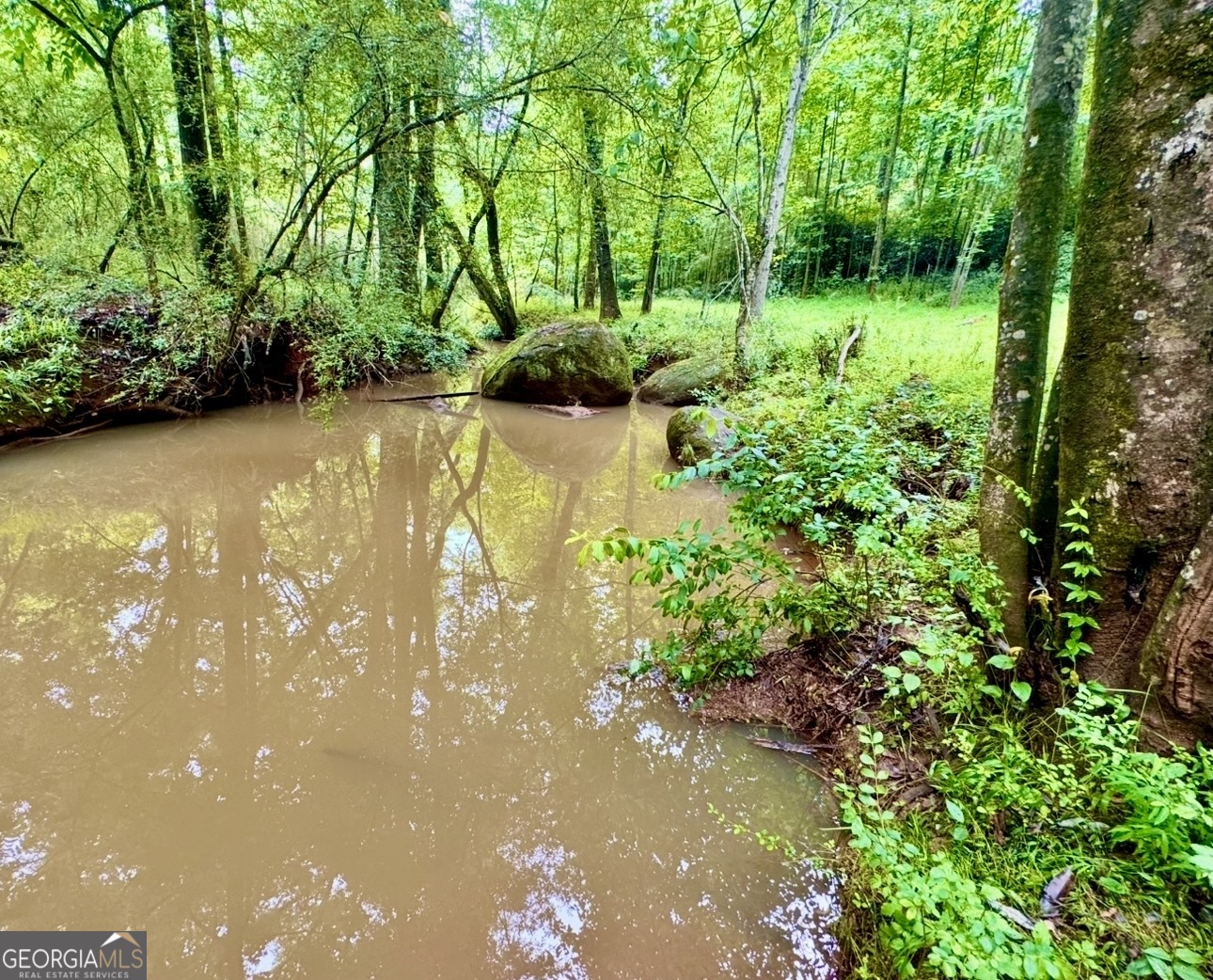 0 Rocky Creek Road Property Photo 9