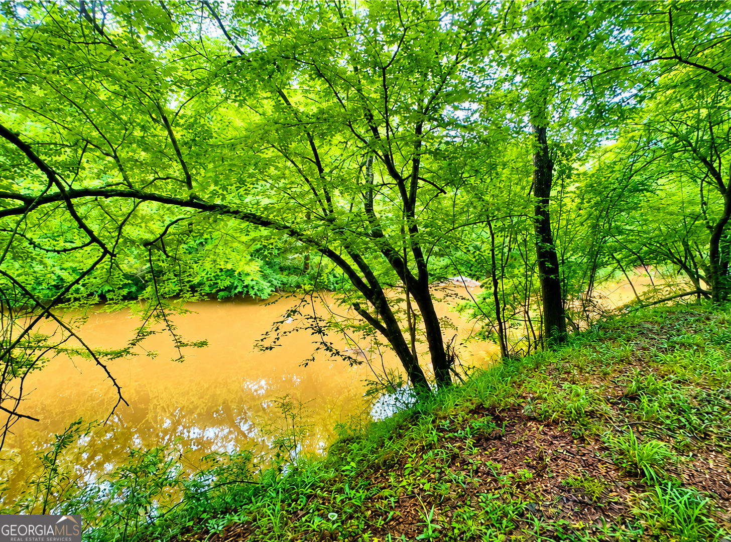 0 Rocky Creek Road Property Photo 11