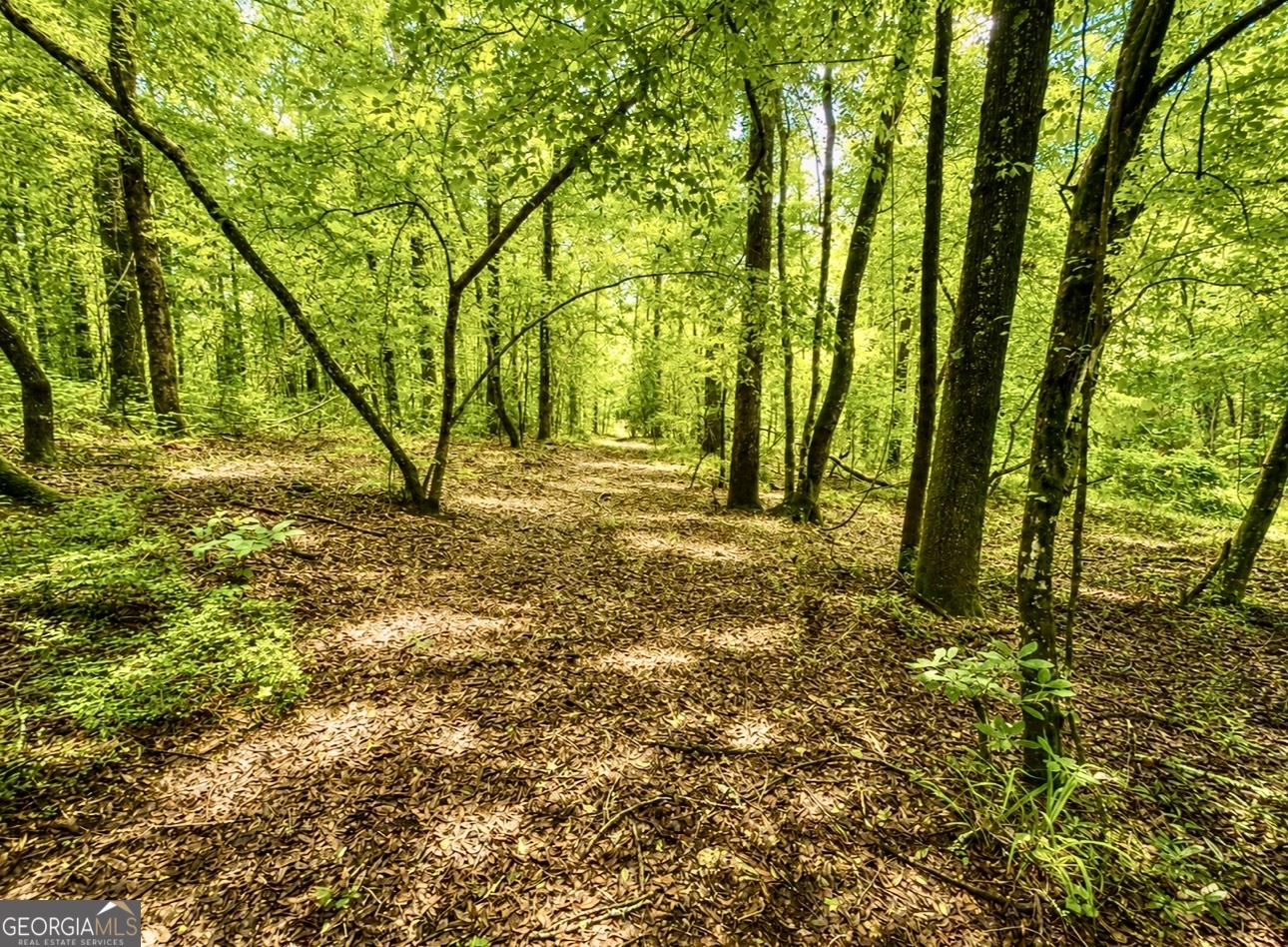 0 Rocky Creek Road Property Photo 13