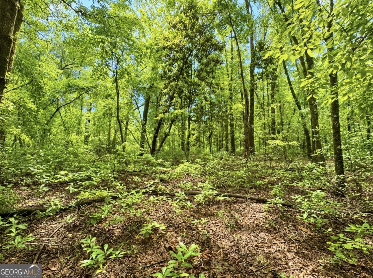 0 Rocky Creek Road Property Photo 24