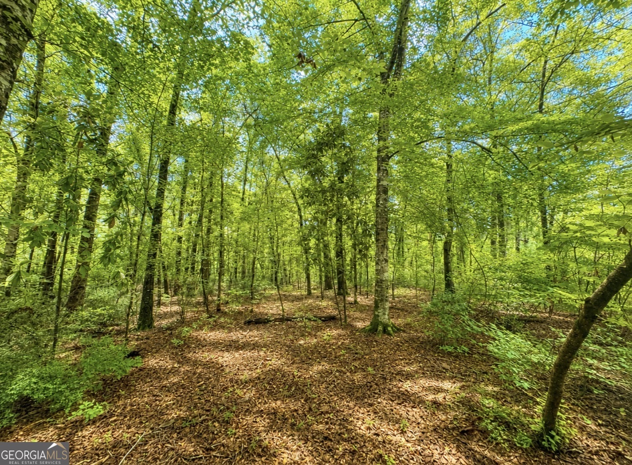 0 Rocky Creek Road Property Photo 25
