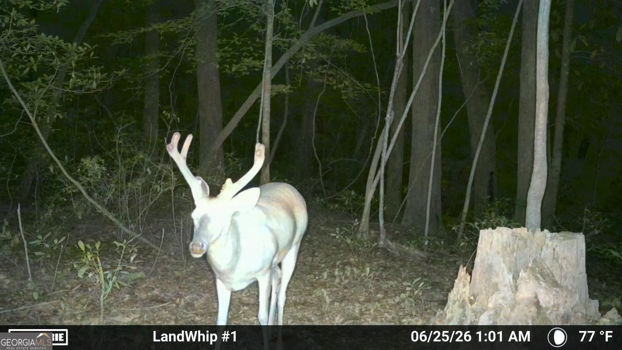 0 Rocky Creek Road Property Photo 33