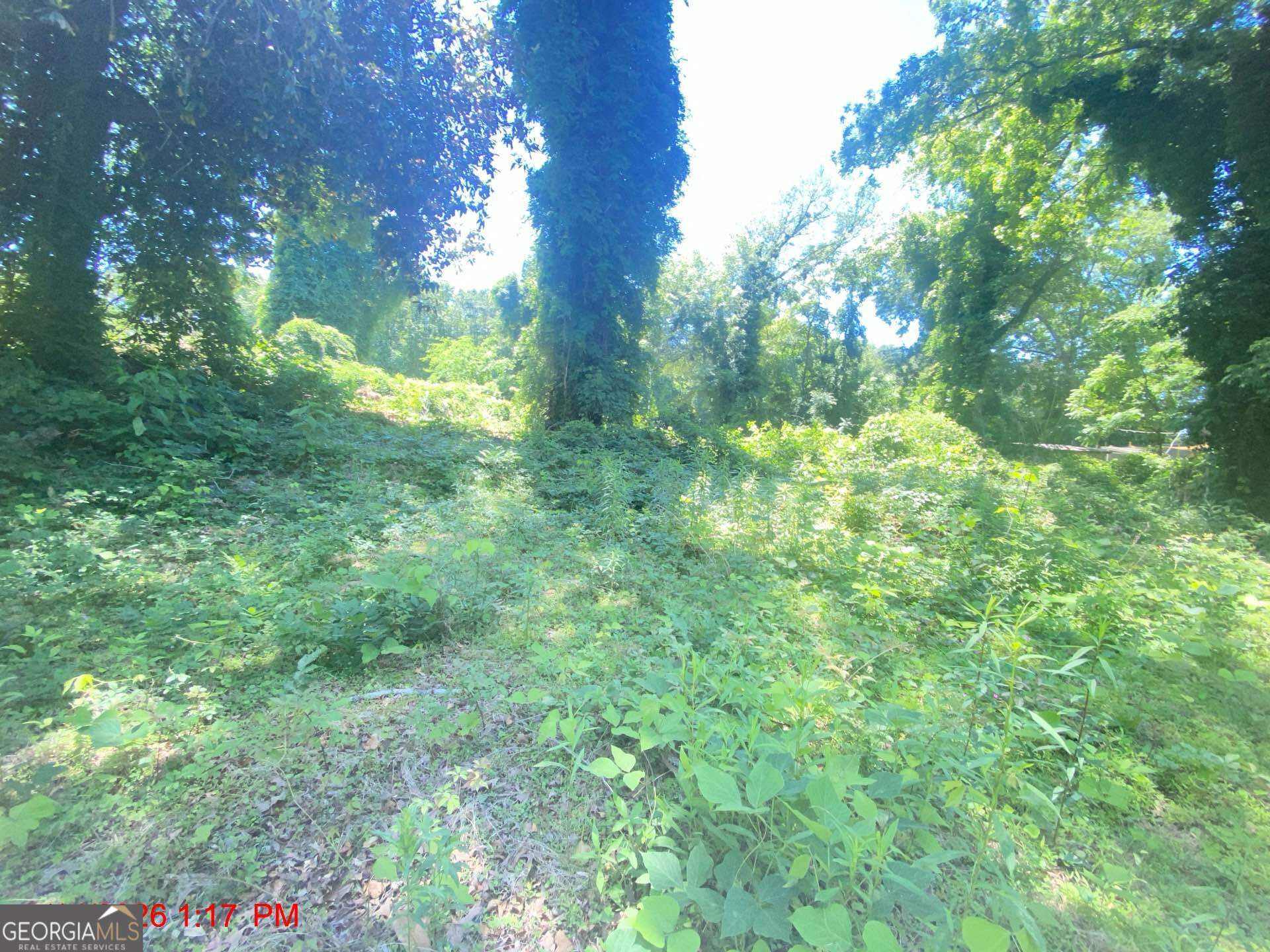 2025 Moody Drive Sw Property Photo 3