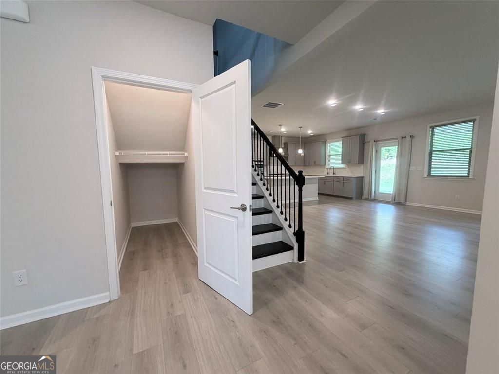 1377 Allspice Way Property Photo 5