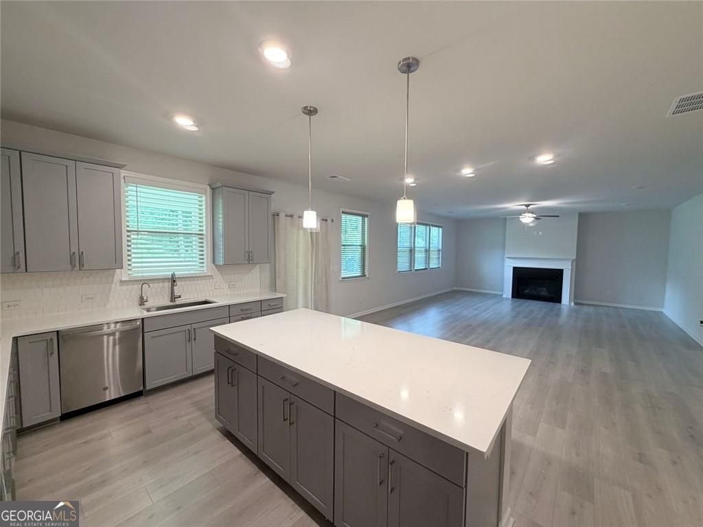1377 Allspice Way Property Photo 13