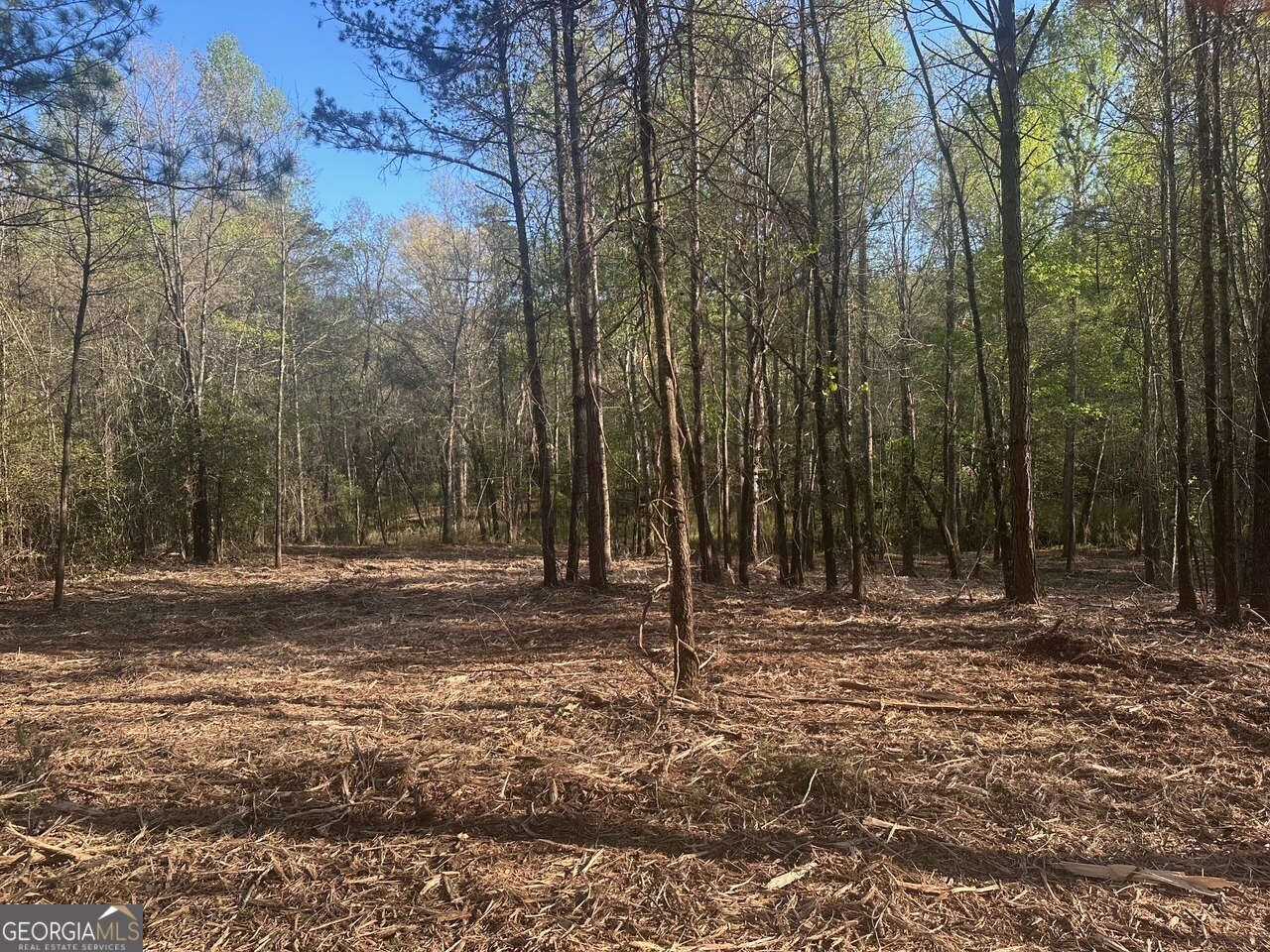 0 Lee Mashburn Road Property Photo 1
