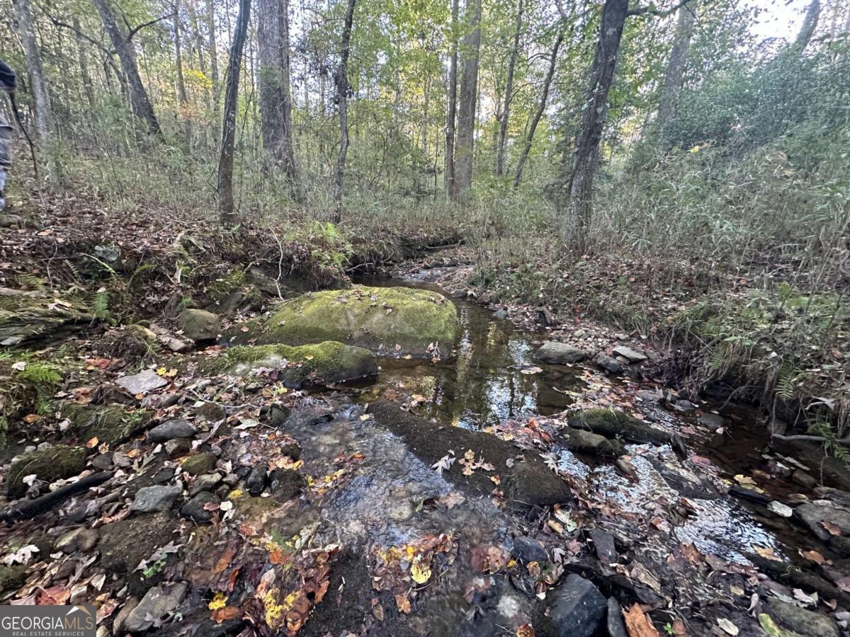 0 Lee Mashburn Road Property Photo 2