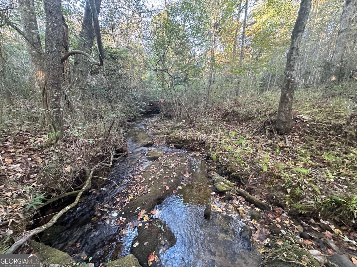 0 Lee Mashburn Road Property Photo 3