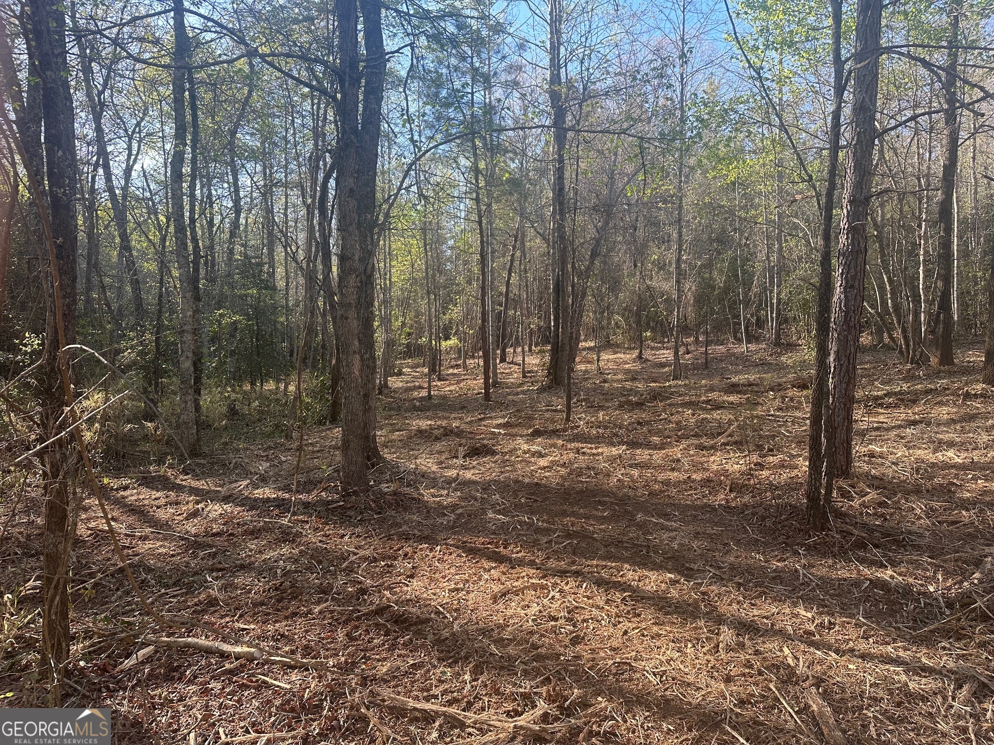 0 Lee Mashburn Road Property Photo 4