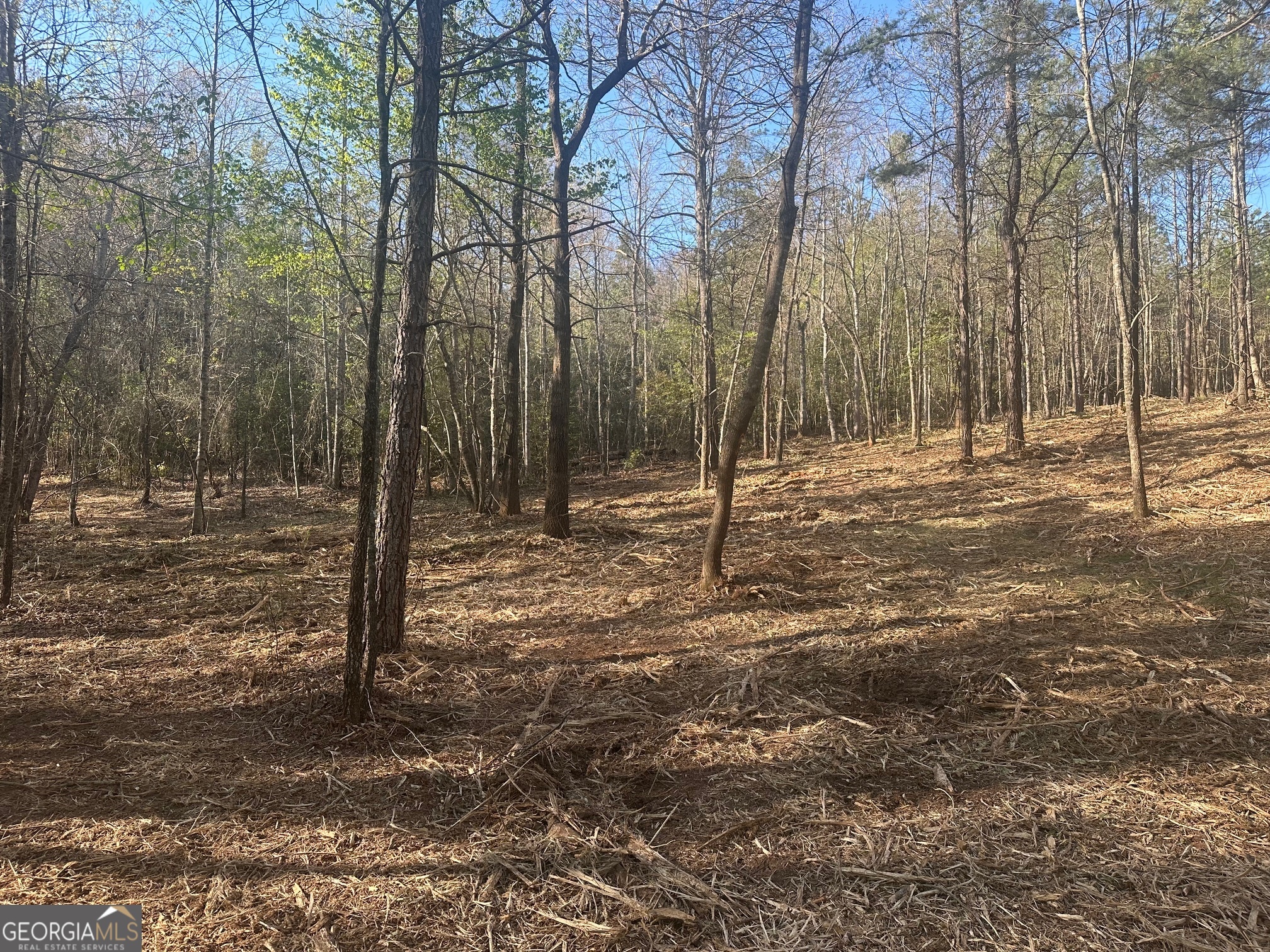 0 Lee Mashburn Road Property Photo 5