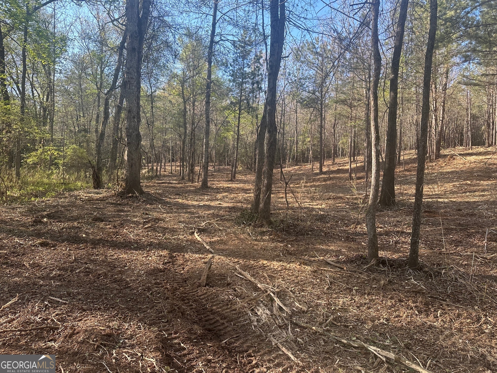 0 Lee Mashburn Road Property Photo 8