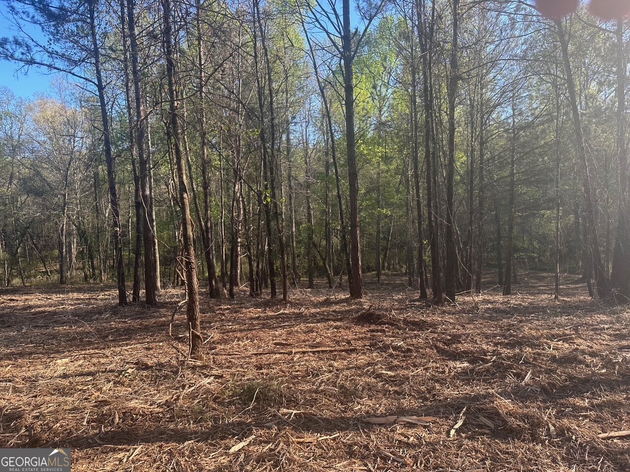 0 Lee Mashburn Road Property Photo 9