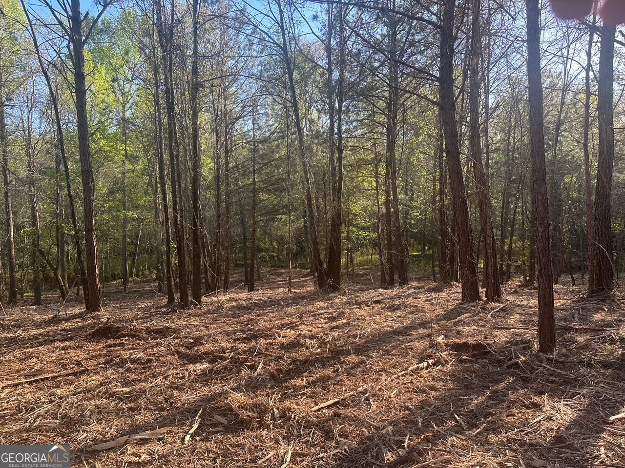 0 Lee Mashburn Road Property Photo 10