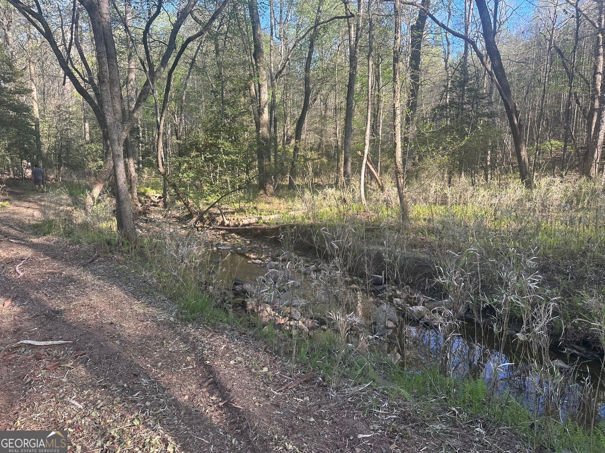0 Lee Mashburn Road Property Photo 13