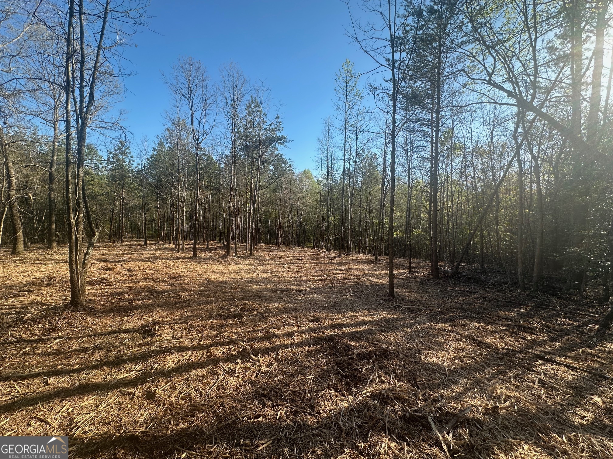 0 Lee Mashburn Road Property Photo 14
