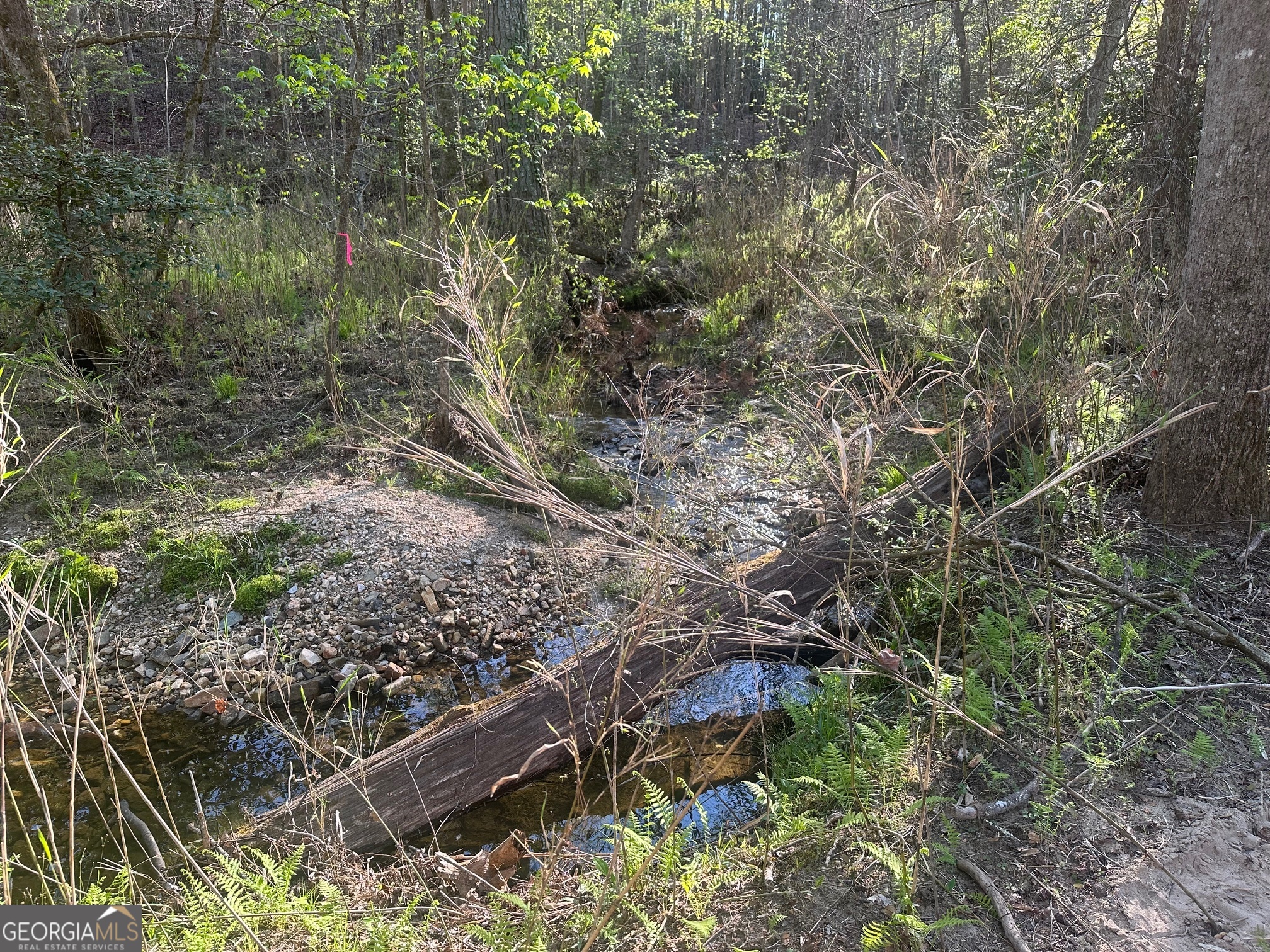 0 Lee Mashburn Road Property Photo 15