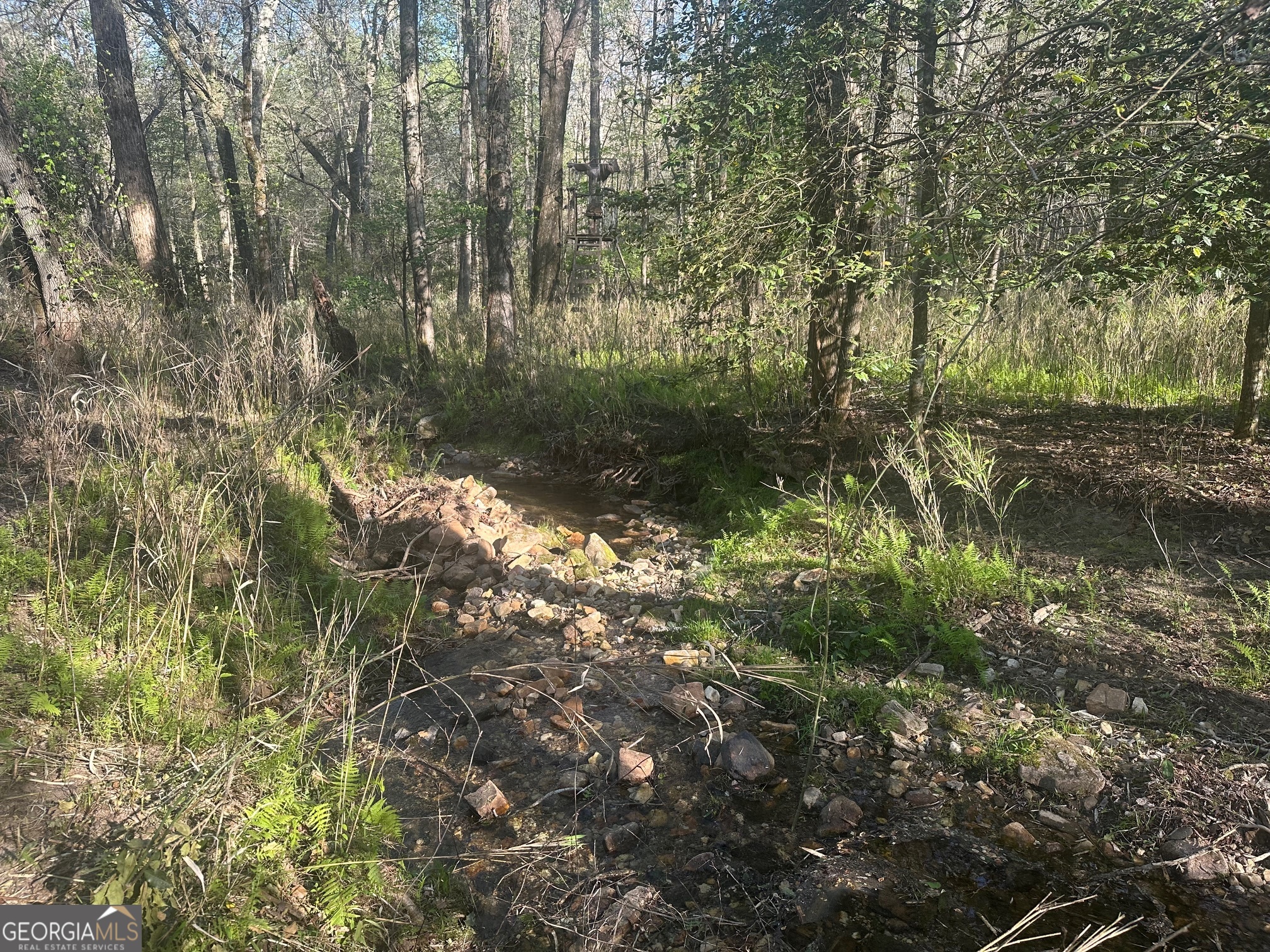 0 Lee Mashburn Road Property Photo 16