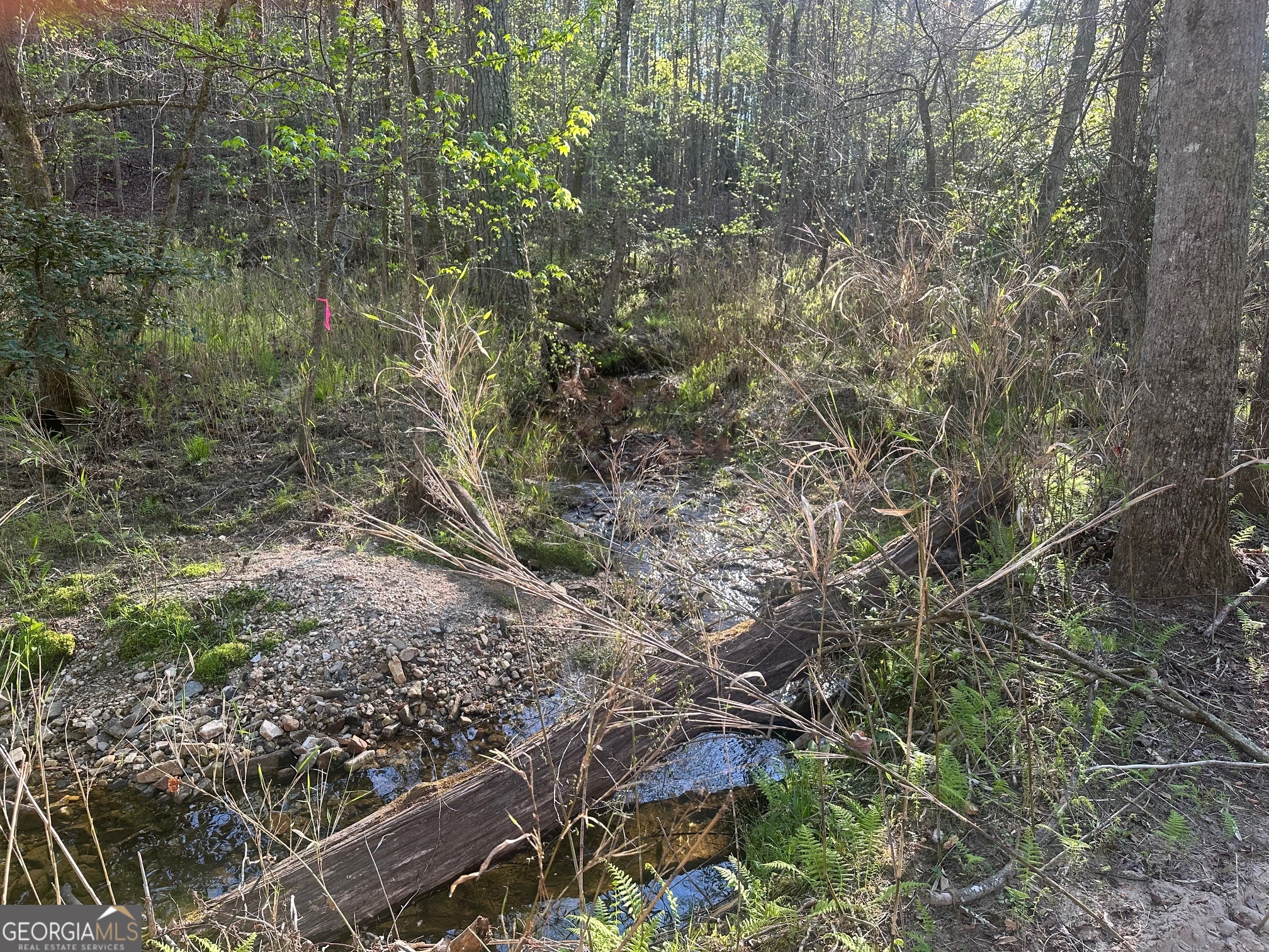 0 Lee Mashburn Road Property Photo 17