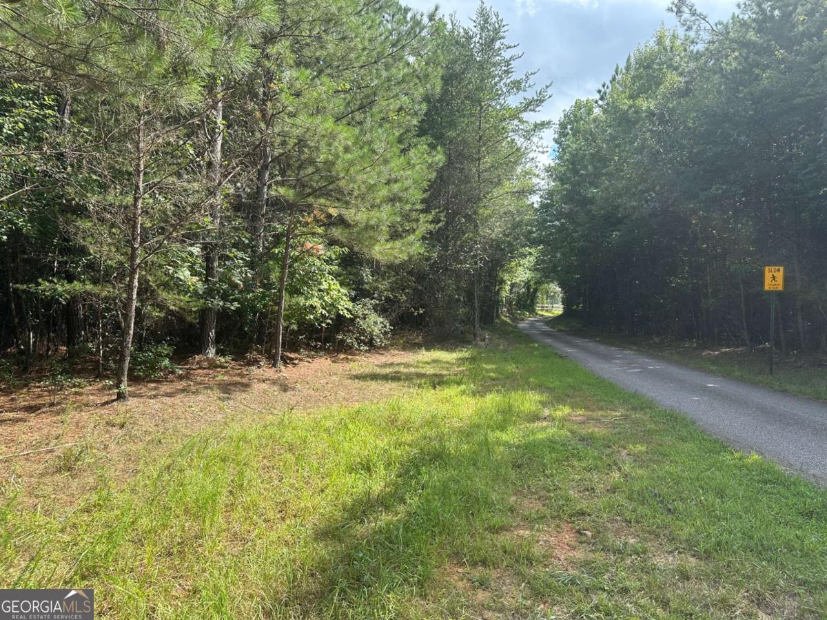 0 Lee Mashburn Road Property Photo 18