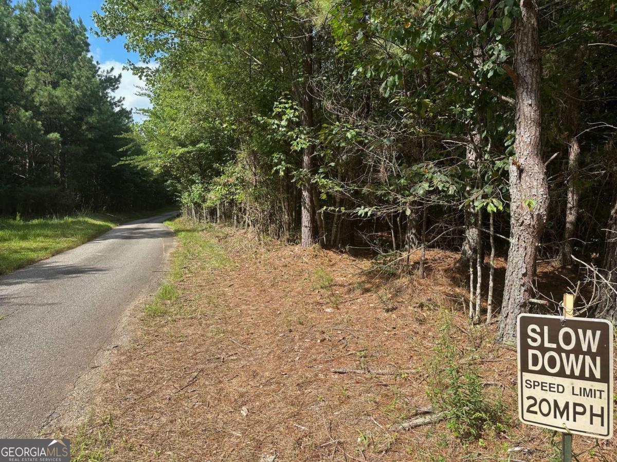 0 Lee Mashburn Road Property Photo 19
