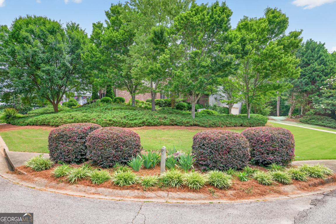 28 Montvale Drive Property Photo 48