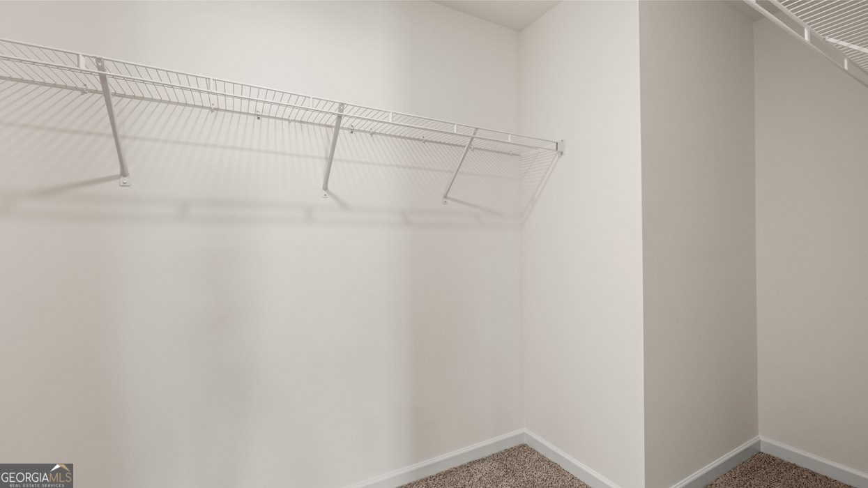 595 Great Salt Lane Property Photo 14