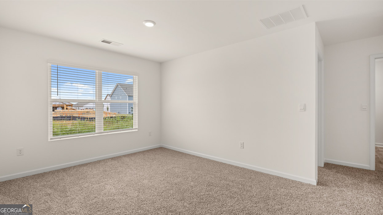 595 Great Salt Lane Property Photo 15