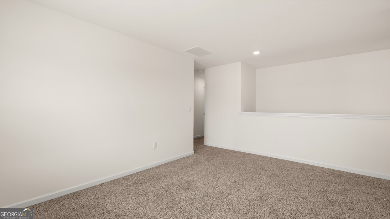 595 Great Salt Lane Property Photo 17