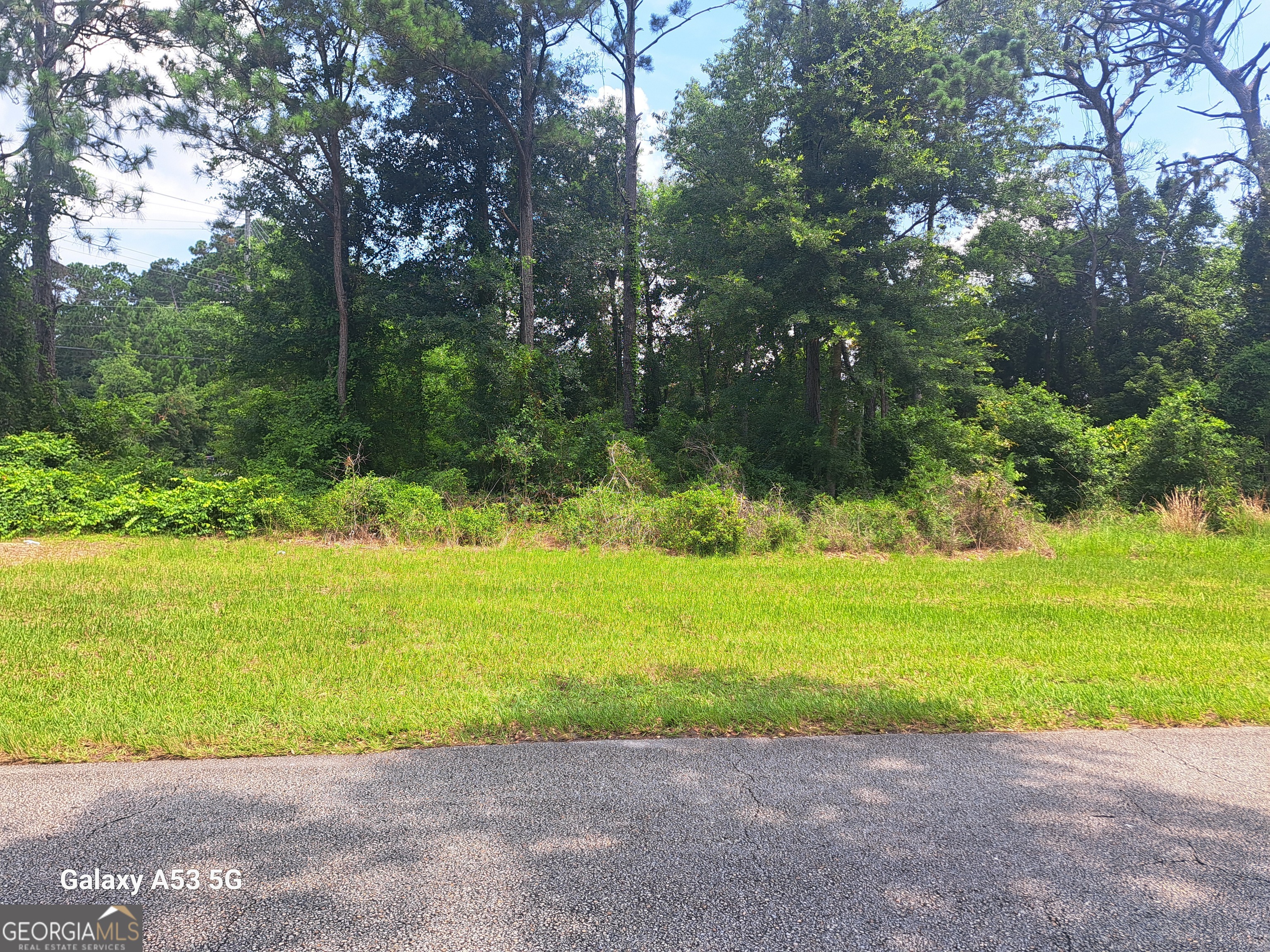 1100 Point Peter Road Property Photo 1