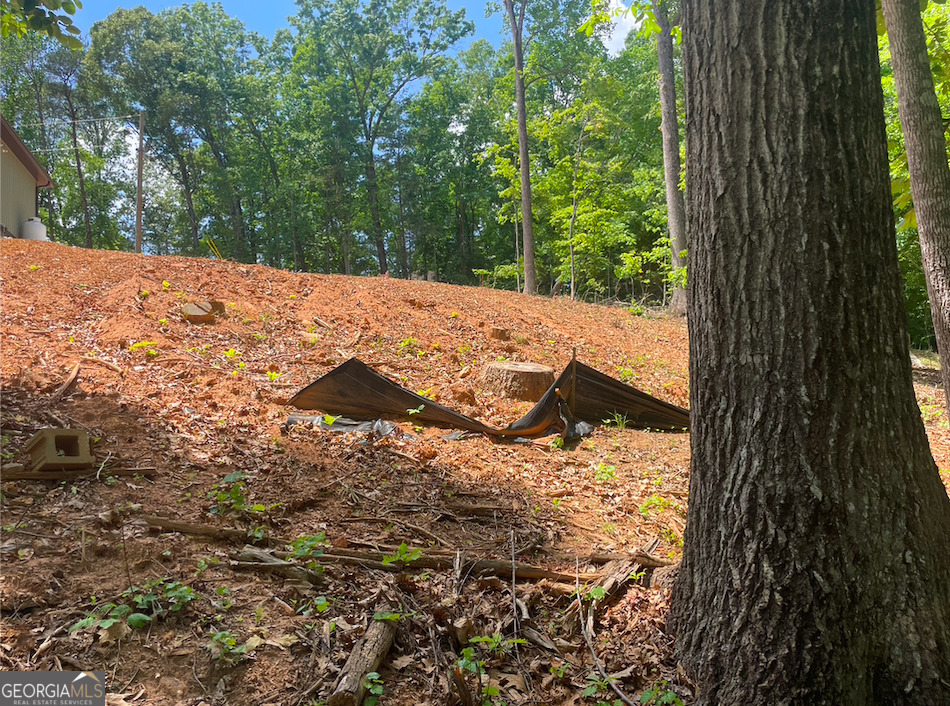 145 Sweet Gum Drive Property Photo 4