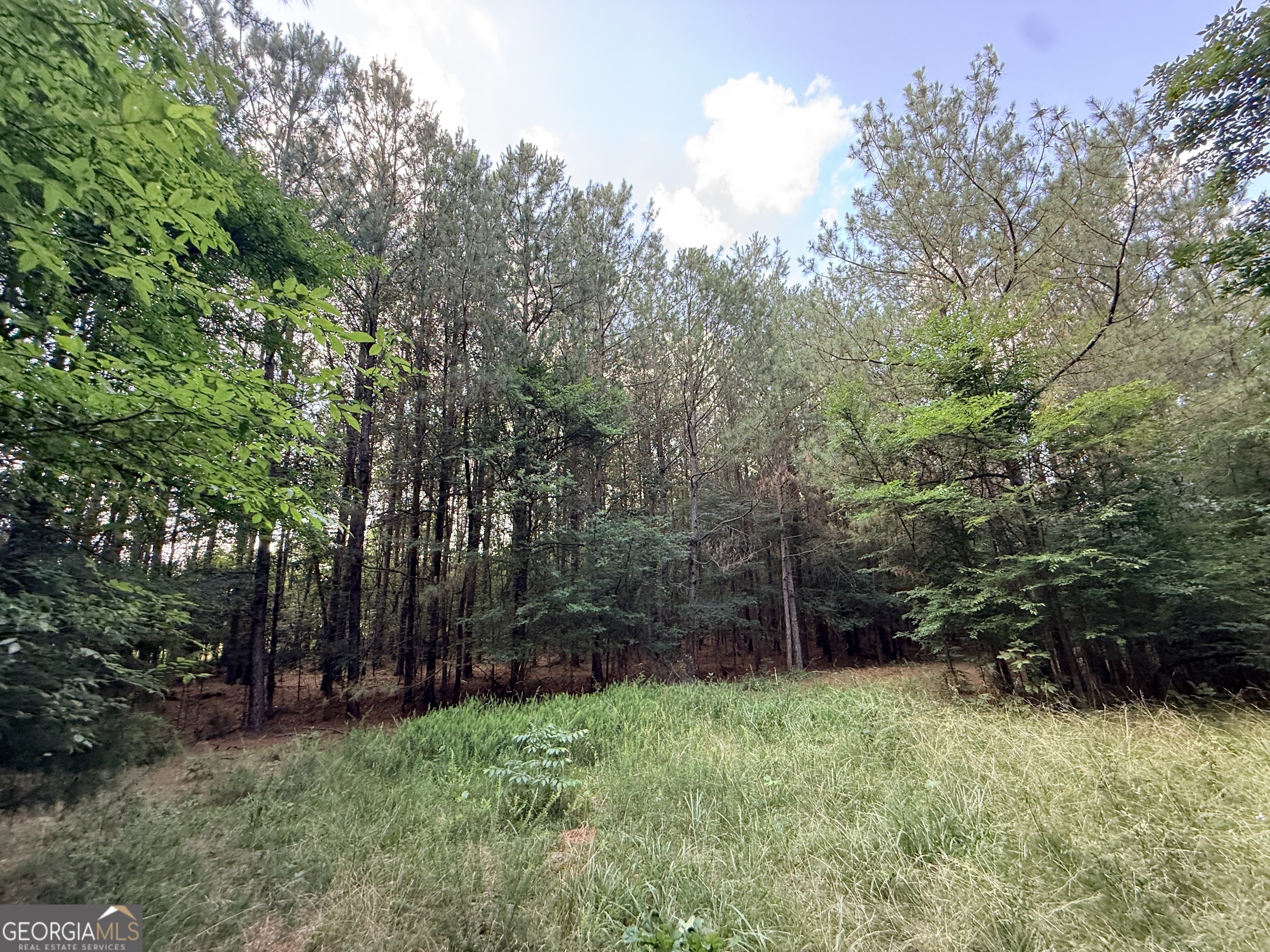 2 Bethesda Church Road Property Photo 1