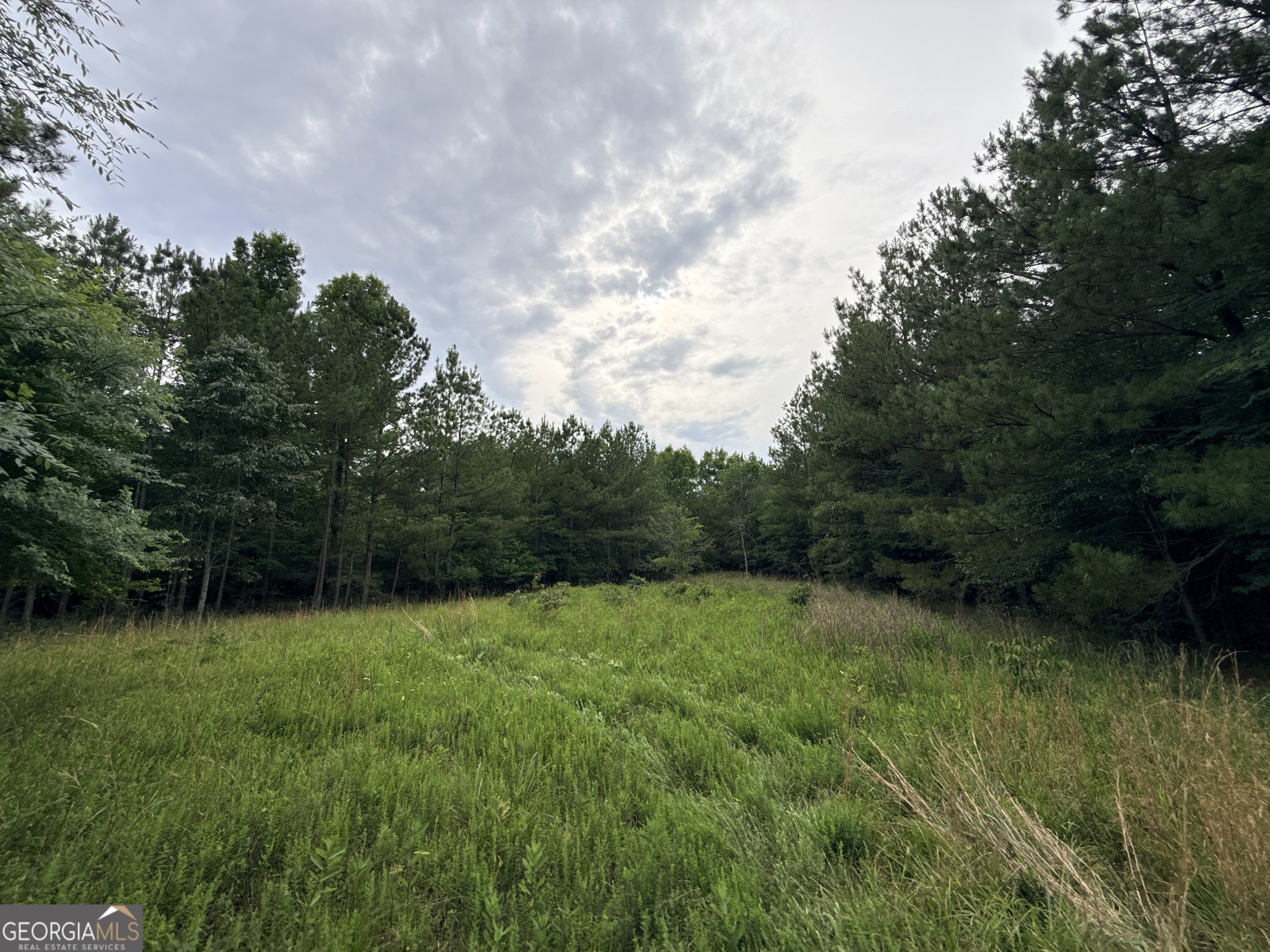 2 Bethesda Church Road Property Photo 5
