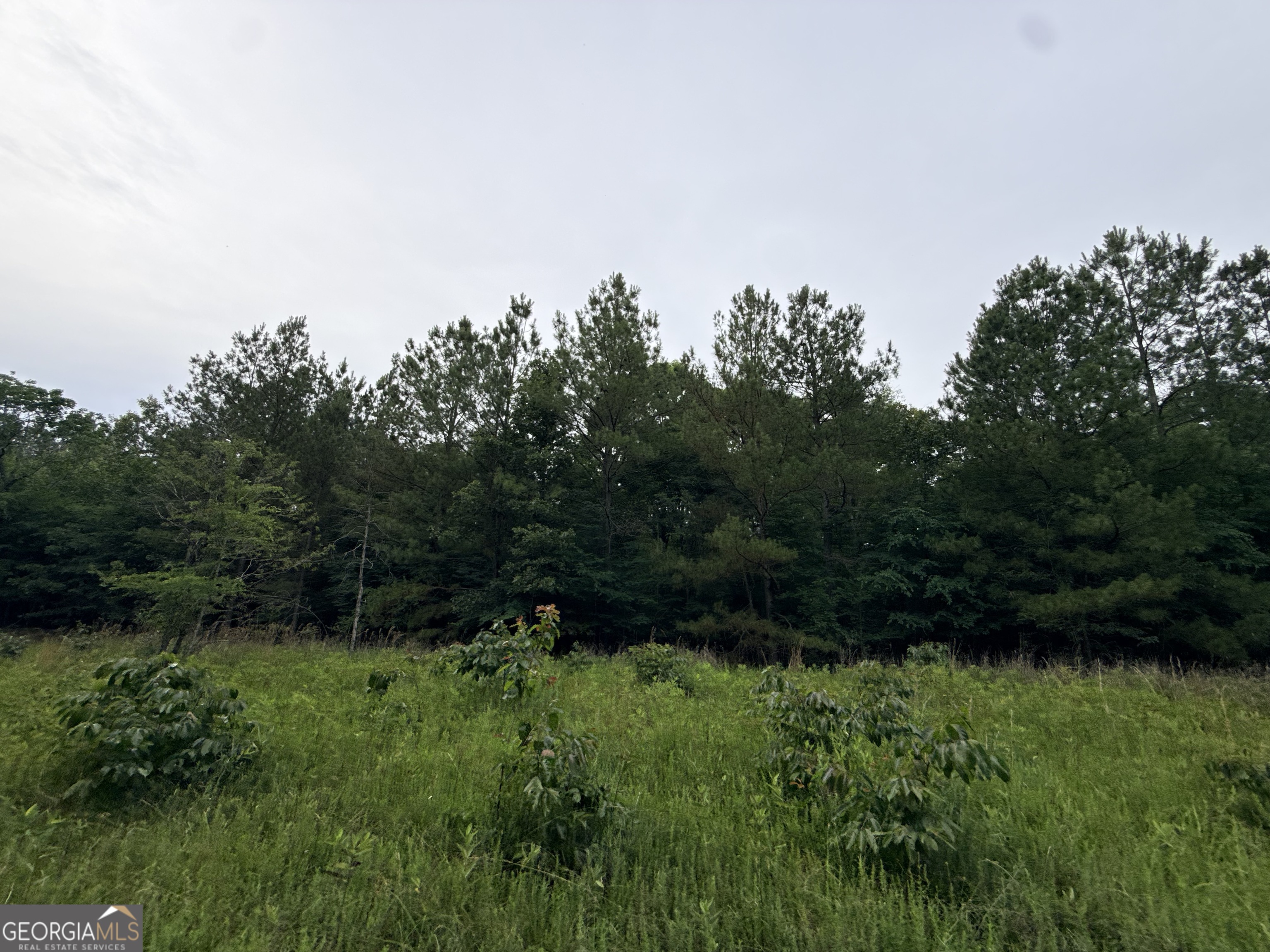 2 Bethesda Church Road Property Photo 8